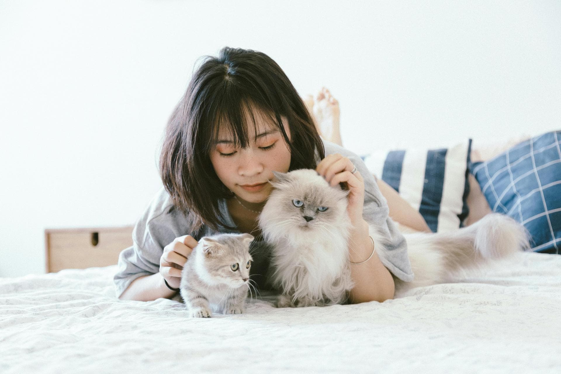 Specialist Vets in Idaho Falls